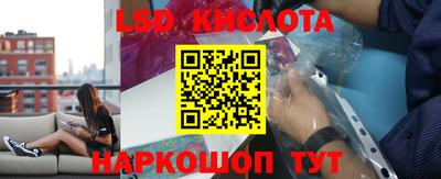 гидропоника Камышлов