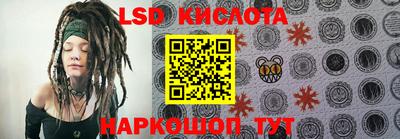 гидропоника Камышлов
