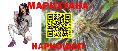 гидропоника Камышлов