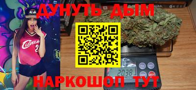гидропоника Камышлов