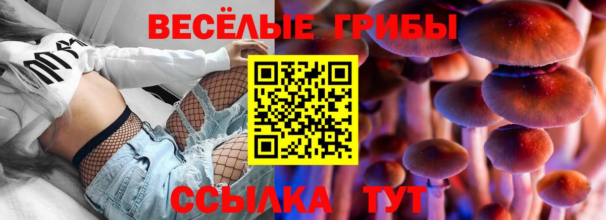 Псилоцибиновые грибы мухоморы Химки