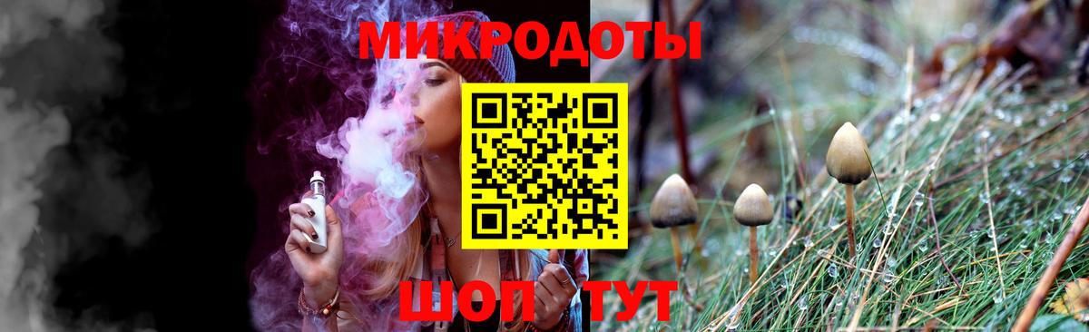Химки  Псилоцибиновые грибы GOLDEN TEACHER  цены наркотик  Псилоцибиновые грибы Psilocybe  Вход с VPN 