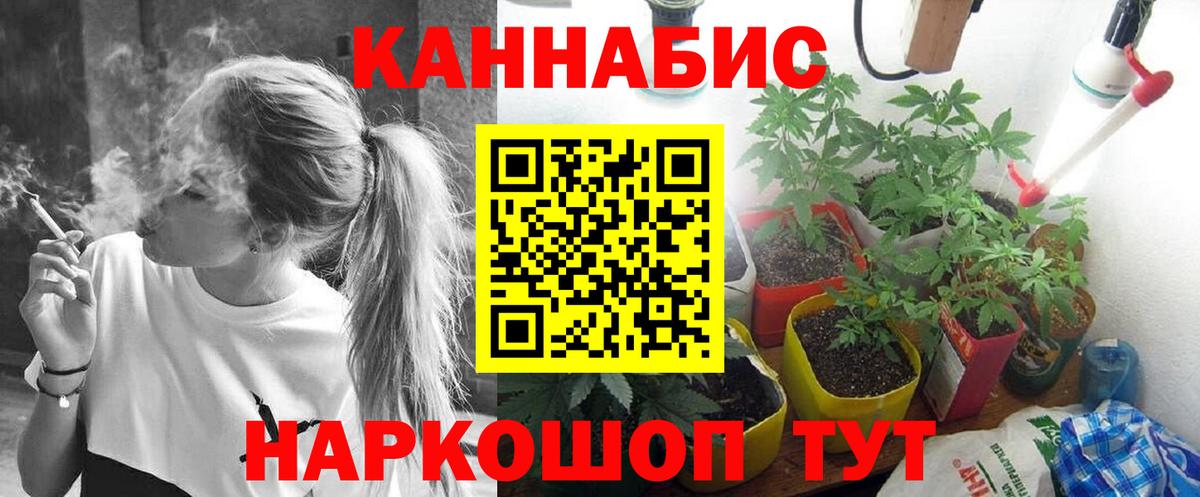 Марихуана гибрид  Вход с VPN  Каннабис индика  Шишки марихуана семена  Бошки Шишки тримм  Химки 
